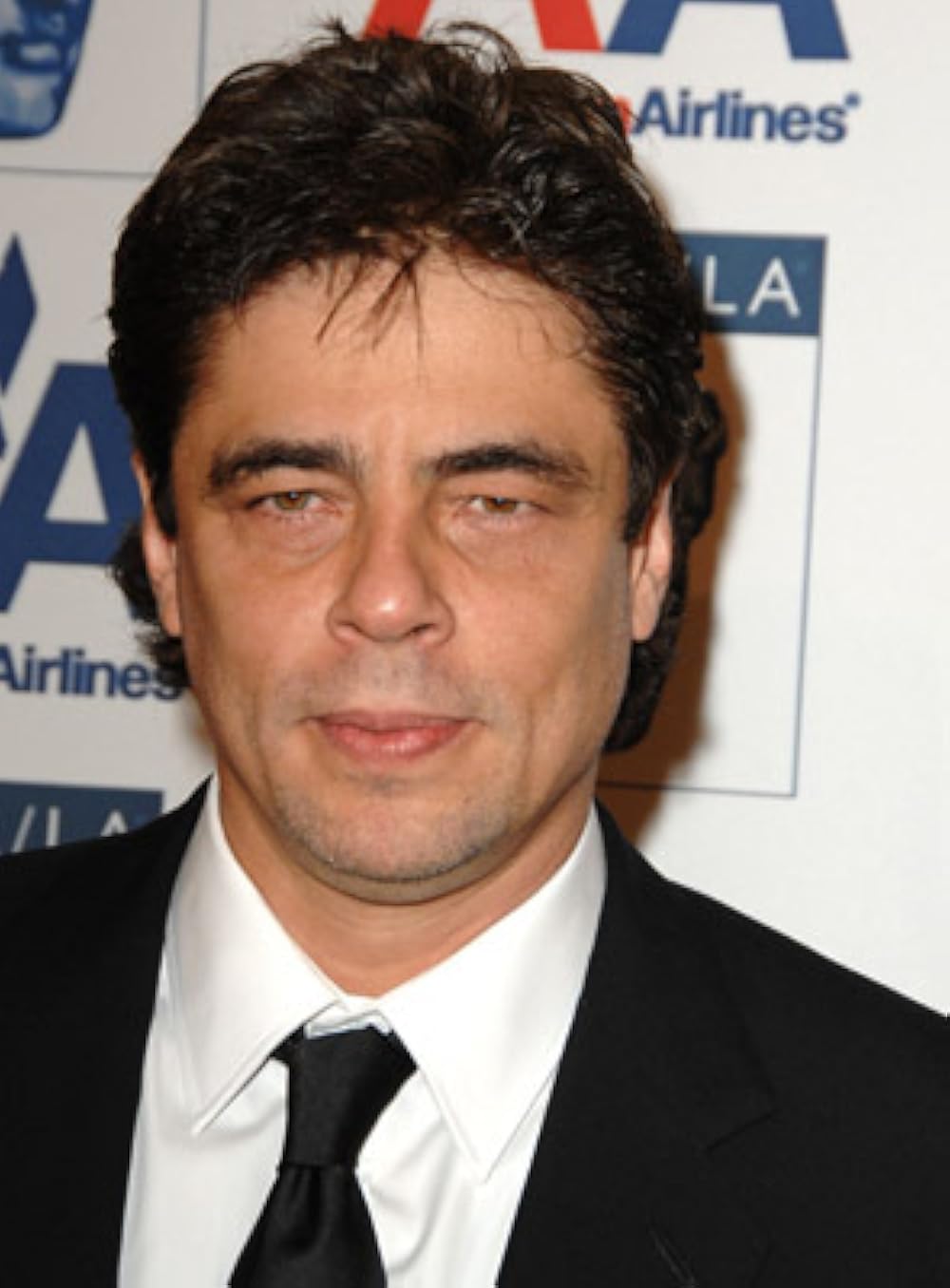 Benicio Del Toro - Professional Portrait