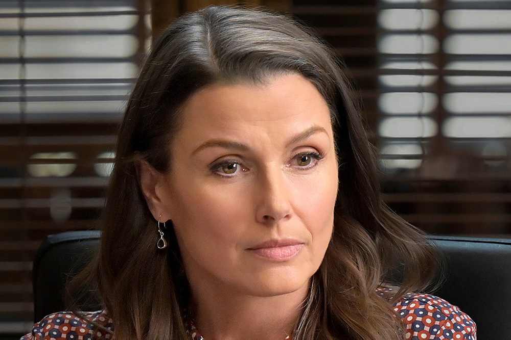 Bridget Moynahan - Professional Portrait