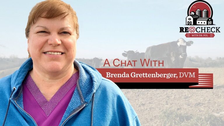 Dr. Pol Presents - A Chat With Fan Favorite Dr. Brenda Grettenberger