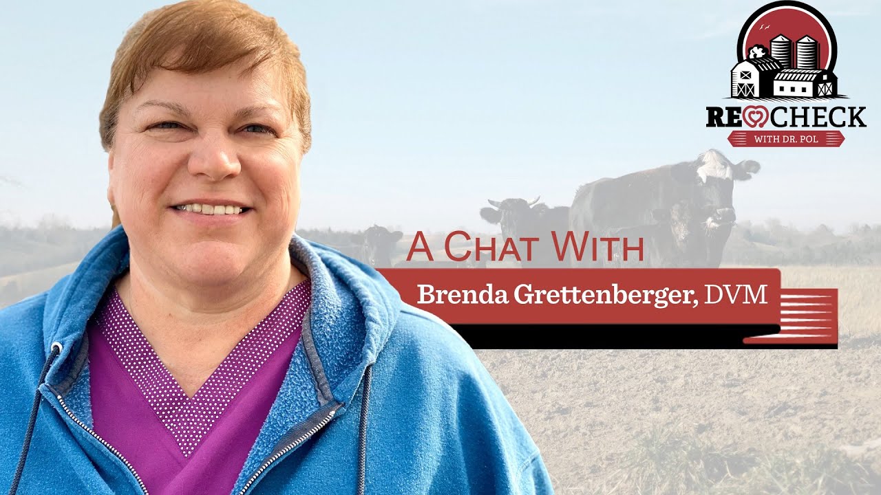 Dr. Pol Presents - A Chat With Fan Favorite Dr. Brenda Grettenberger