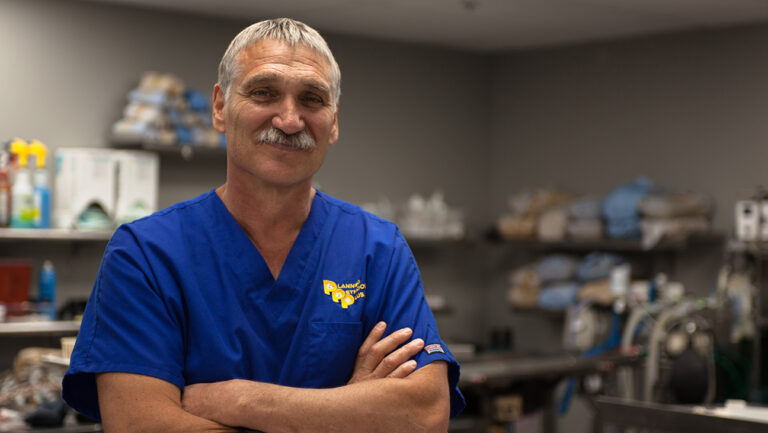 Dr. Jeff: Rocky Mountain Vet' Renewed at Animal Planet (Exclusive)