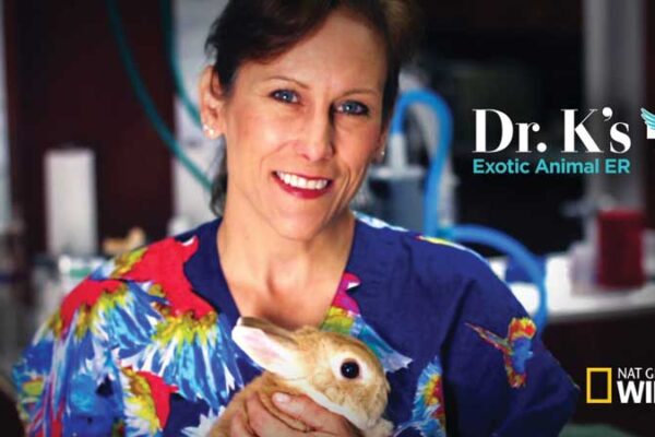 5 questions with Dr. Susan Kelleher - Veterinary Practice News