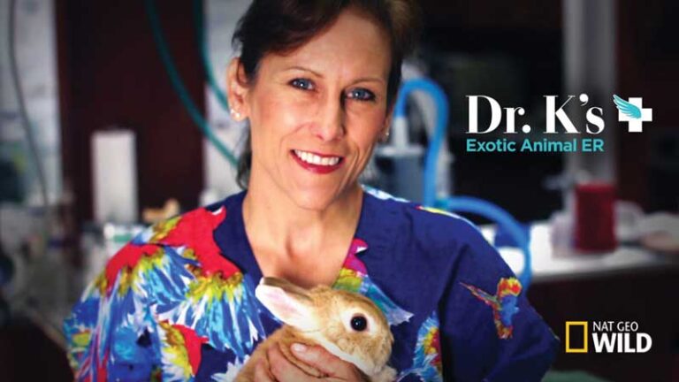 Dr. Susan Kelleher: Expertise, Career, and Online Influence – Net Worth, Age, and Achievements