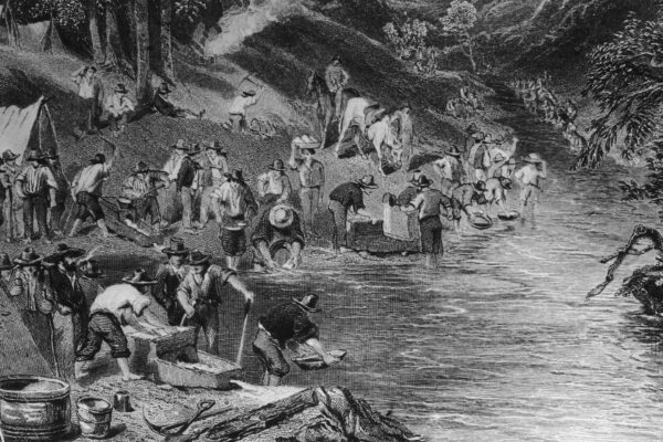 Gold Rush - Professional Portrait