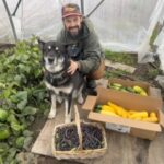 Meet your guide Morgan Beasley and the herd of Icelandic Horses in Alaska