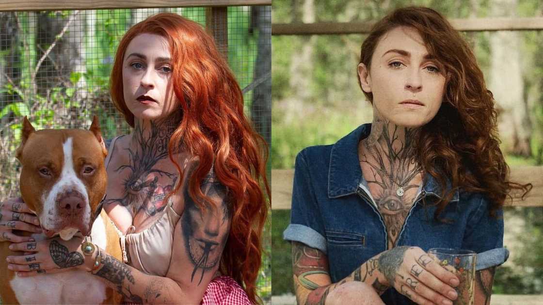 Pit Bulls and Parolees cast: meet the Torreses, Jake Gardner, and others - Tuko.co.ke